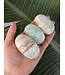 Caribbean Calcite Palm, Size Small [75-99gr]