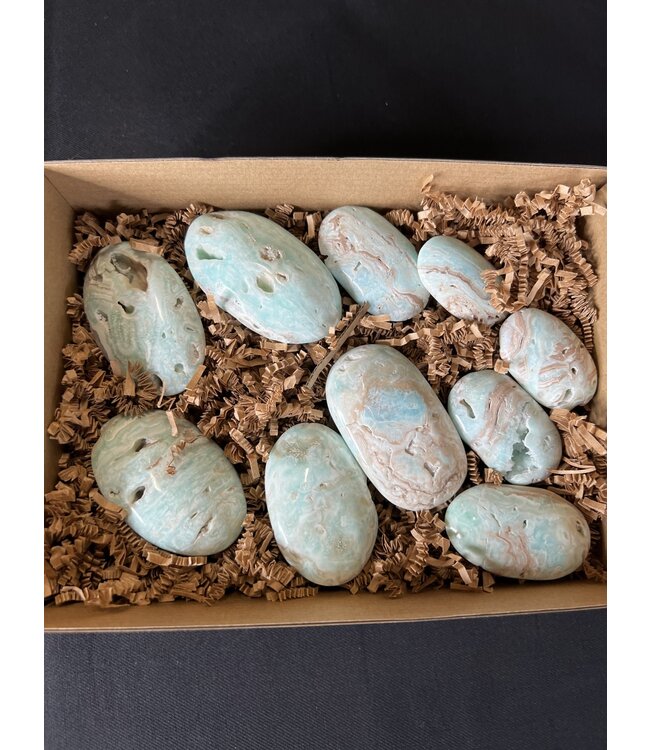 Smithsonite Palms 1KG bulk lot