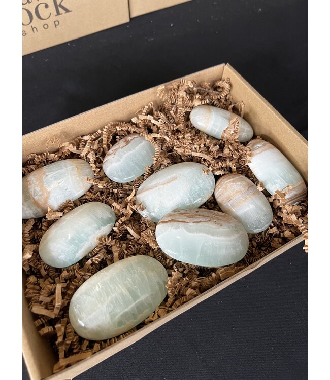 Caribbean Calcite Palms 1KG bulk lot