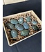Nephrite Palms 1KG bulk lot