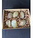 Green Banded Onyx Palms 1KG bulk lot