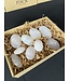 Mangano Calcite Palms 1KG bulk lot