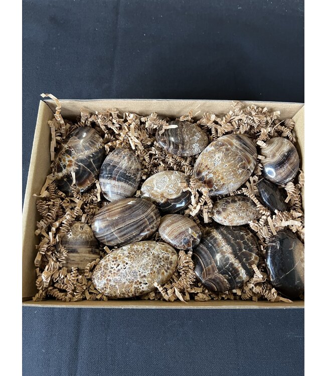 Chocolate Calcite Palms 1KG bulk lot