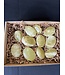 Lemon Calcite Palms 1KG bulk lot