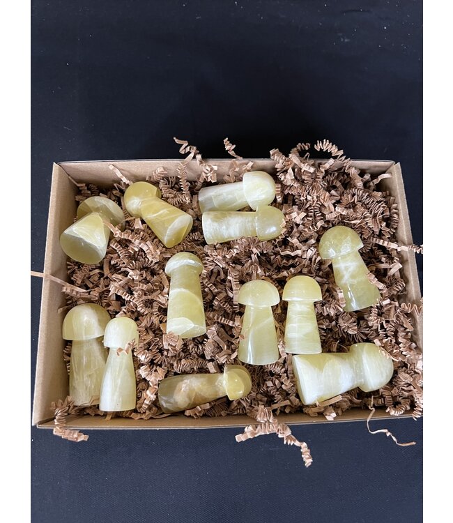 Lemon Calcite Mushrooms 1KG bulk lot