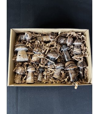 Chocolate Calcite Mushrooms 1KG bulk lot