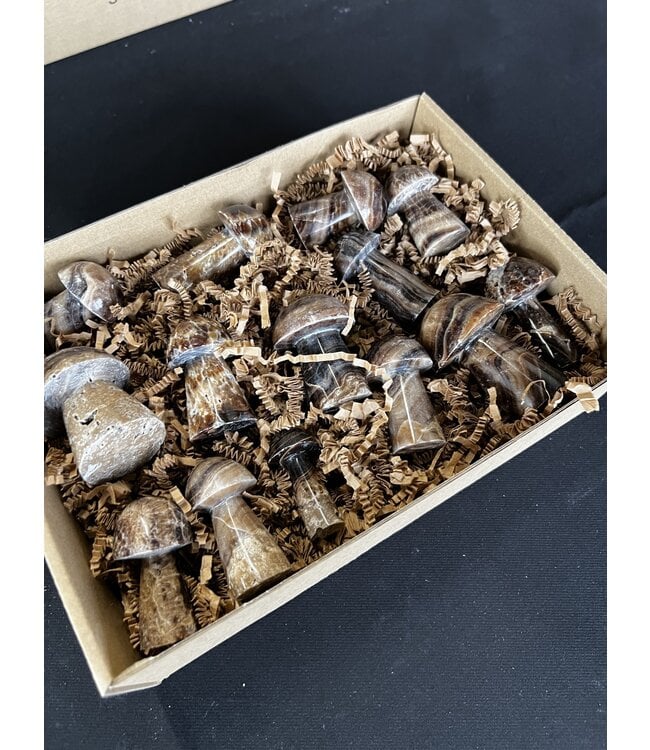 Chocolate Calcite Mushrooms 1KG bulk lot