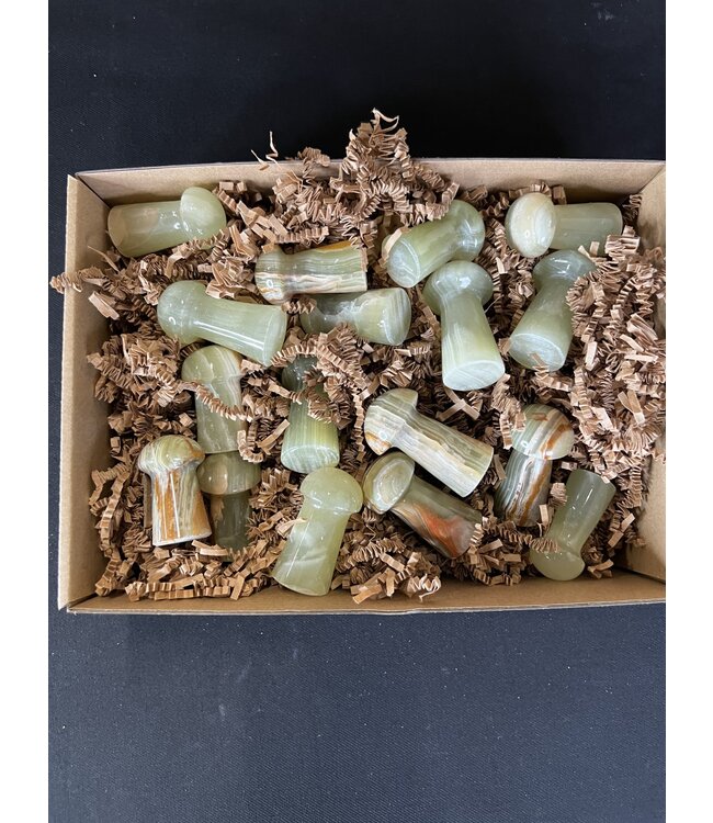 Green Banded Onyx Mushrooms 1KG bulk lot