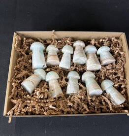 Caribbean Calcite Mushrooms 1KG bulk lot