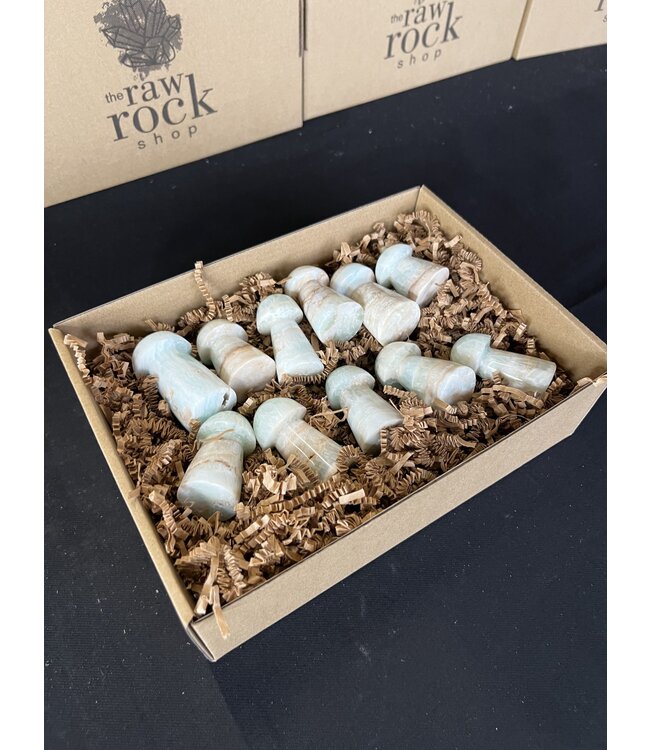 Caribbean Calcite Mushrooms 1KG bulk lot