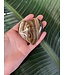 Chocolate Calcite Heart, Size X-Large [150-174gr]