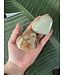 Green Banded Onyx Heart, Size Medium [100-124gr]