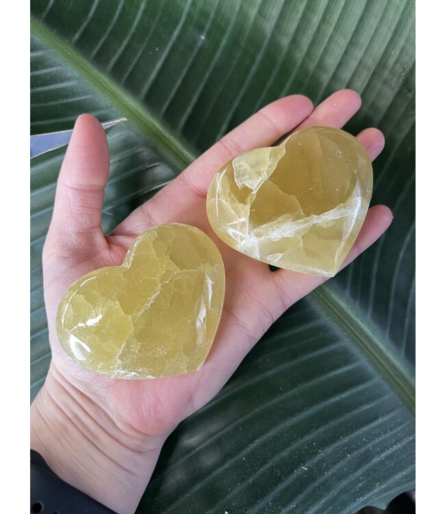Lemon Calcite Heart, Size X-Large [150-174gr]
