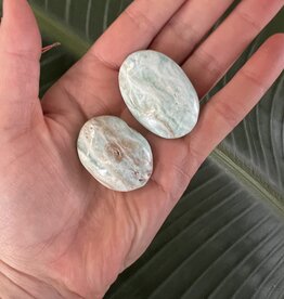 Smithsonite Palm, Size Baby [1-24gr]