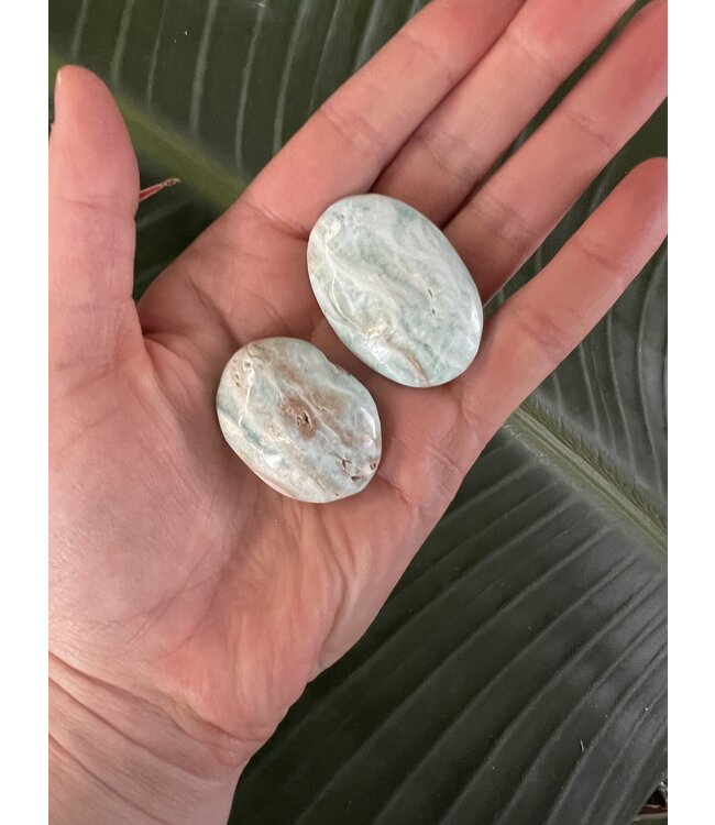 Smithsonite Palm, Size Baby [1-24gr]