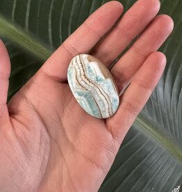 Blue Aragonite Palm, Size Baby [1-24gr]