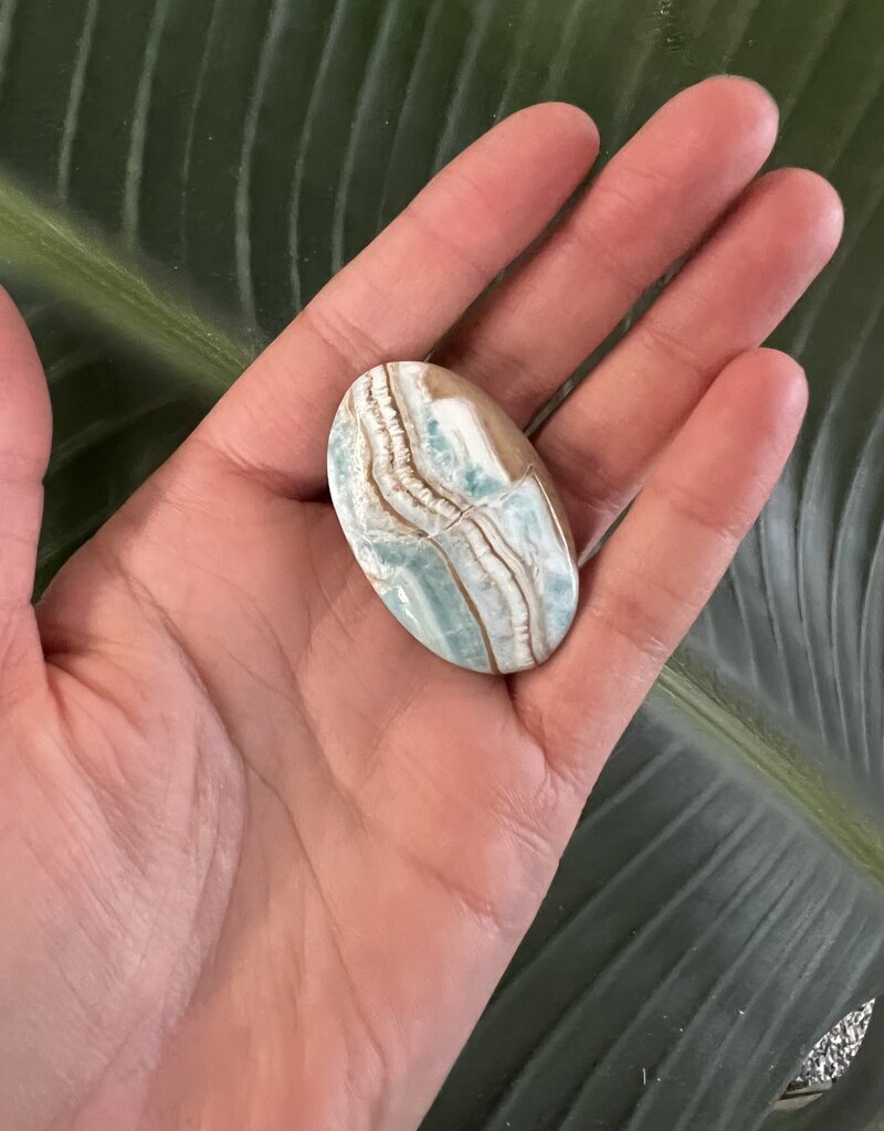 Blue Aragonite Palm, Size Baby [1-24gr]
