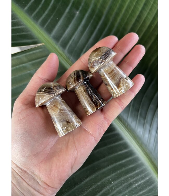 Chocolate Calcite Mushroom, Size Small [25-49gr]