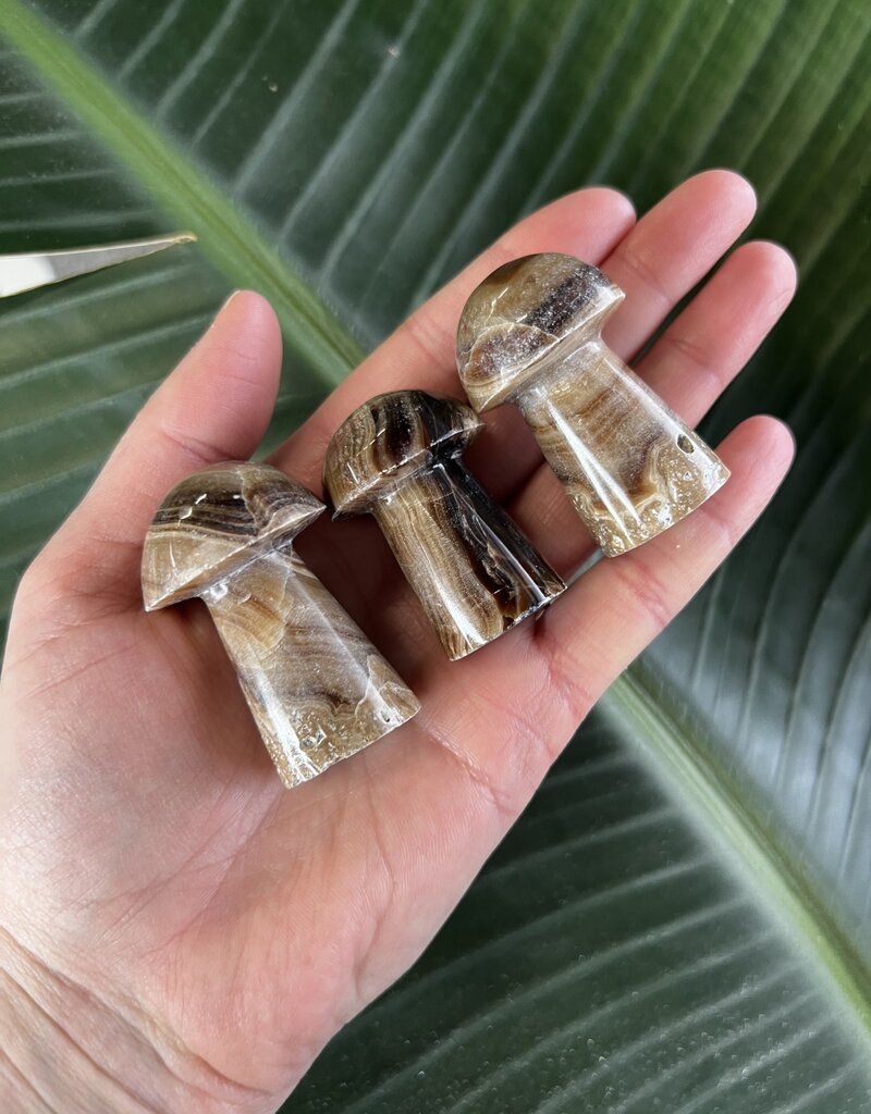 Chocolate Calcite Mushroom, Size Small [25-49gr]