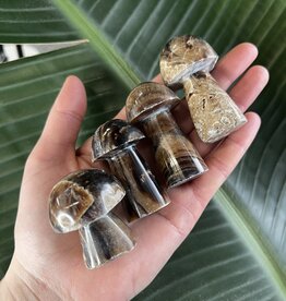 Chocolate Calcite Mushroom, Size Medium [50-74gr]