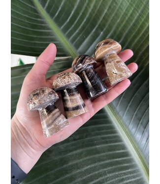 Chocolate Calcite Mushroom, Size Large [75-99gr]