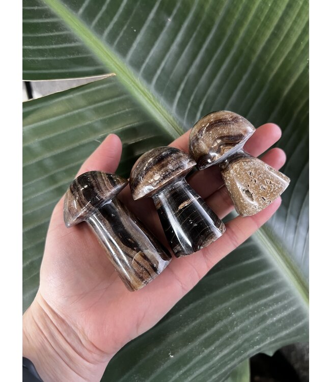 Chocolate Calcite Mushroom, Size X-Large [100-124gr]