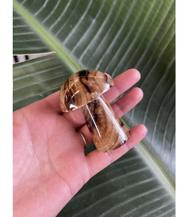 Chocolate Calcite Mushroom, Size XX-Large [125-149gr]