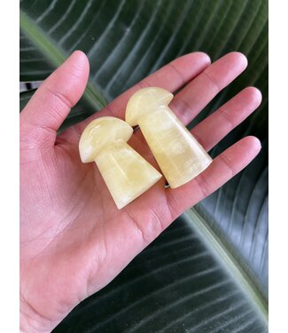 Lemon Calcite Mushroom, Size Medium [50-74gr]
