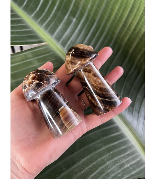 Chocolate Calcite Mushroom, Size Jumbo [150-174gr]
