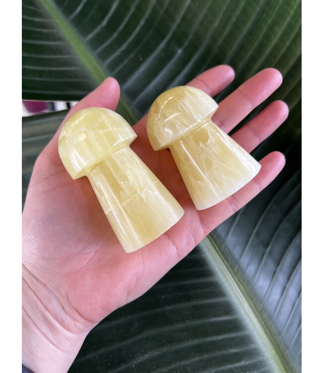 Lemon Calcite Mushroom, Size Jumbo [150-174gr]