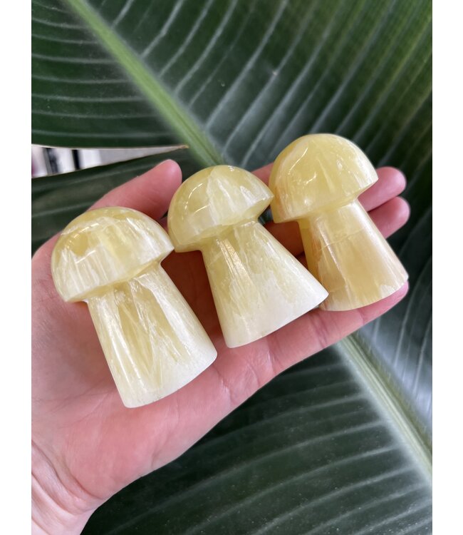 Lemon Calcite Mushroom, Size XX-Large [125-149gr]