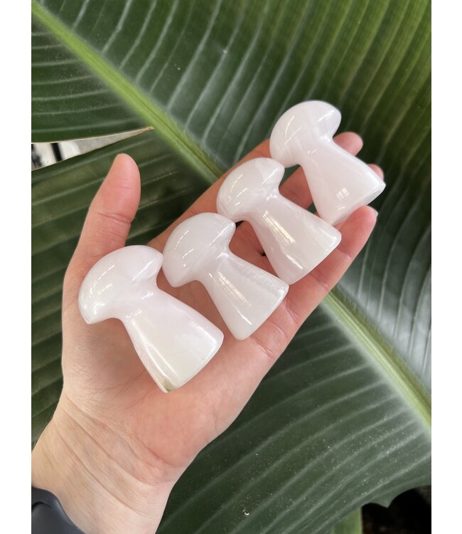 Mangano Calcite Mushroom, Size Large [75-99gr]