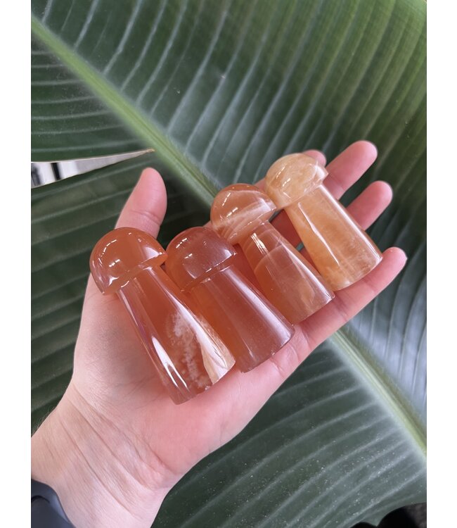 Honey Calcite Mushroom, Size Large [75-99gr]