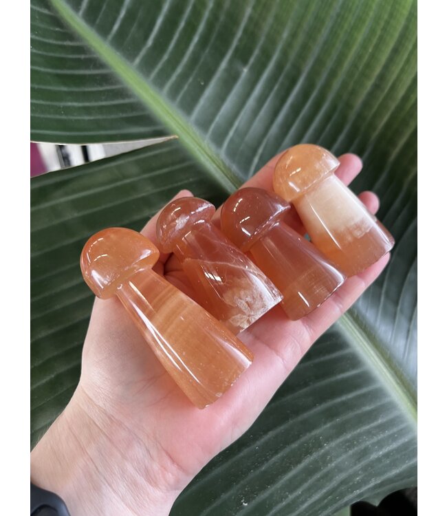 Honey Calcite Mushroom, Size X-Large [100-124gr]
