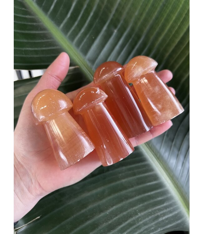 Honey Calcite Mushroom, Size XX-Large [125-149gr]