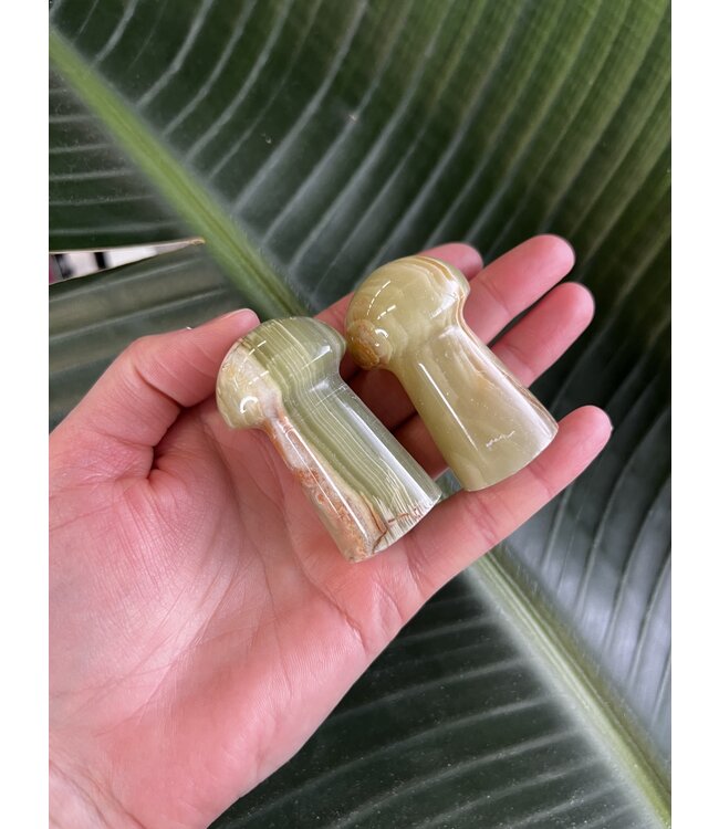 Green Banded Onyx Mushroom, Size Large [75-99gr]