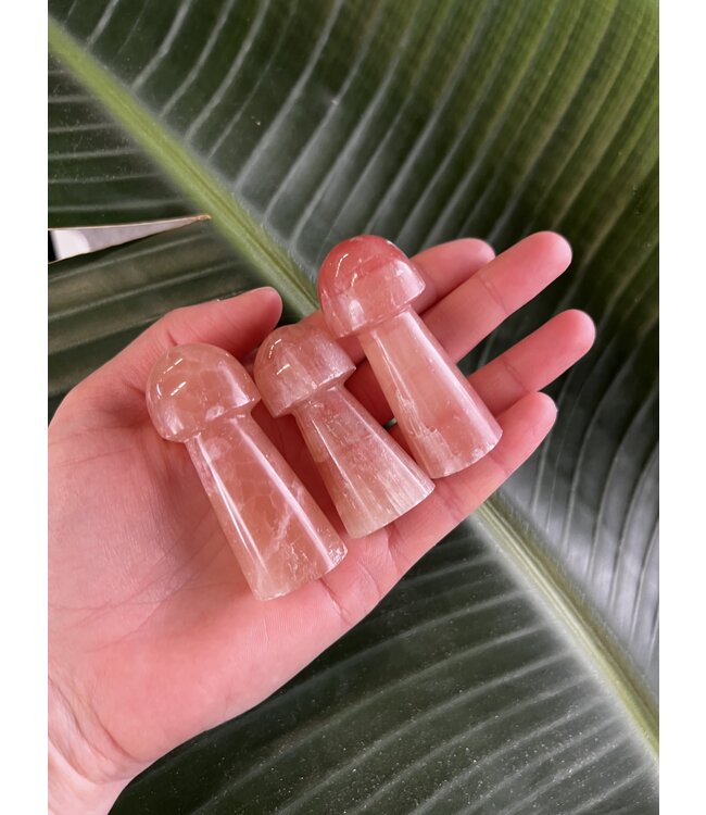 Rose Calcite Mushroom, Size Medium [50-74gr]