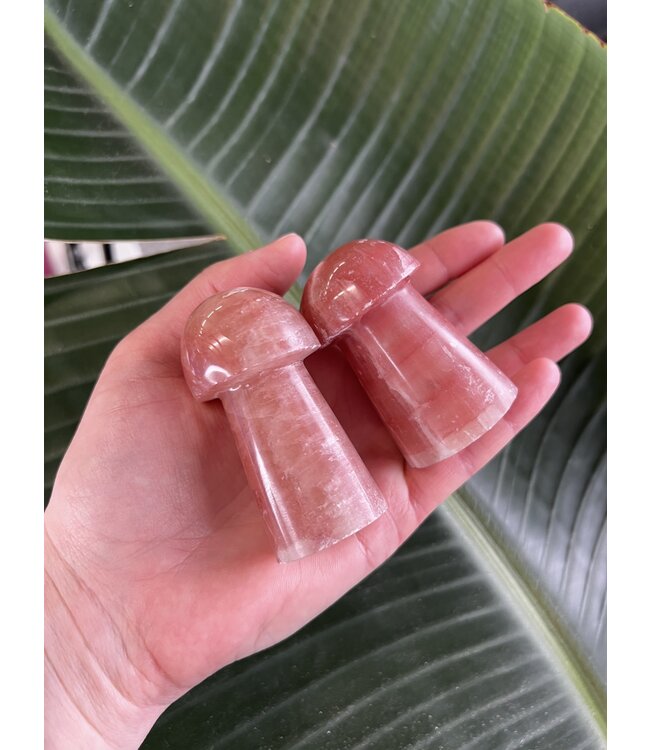 Rose Calcite Mushroom, Size XX-Large [125-149gr]