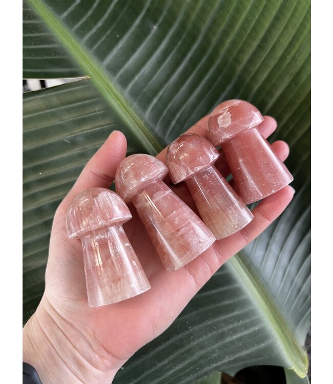 Rose Calcite Mushroom, Size X-Large [100-124gr]