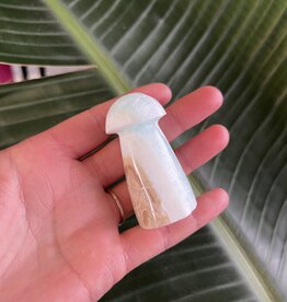 Caribbean Calcite Mushroom, Size Medium [50-74gr]