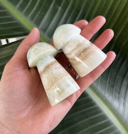 Caribbean Calcite Mushroom, Size XX-Large [125-149gr]