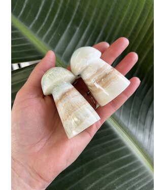 Caribbean Calcite Mushroom, Size XX-Large [125-149gr]