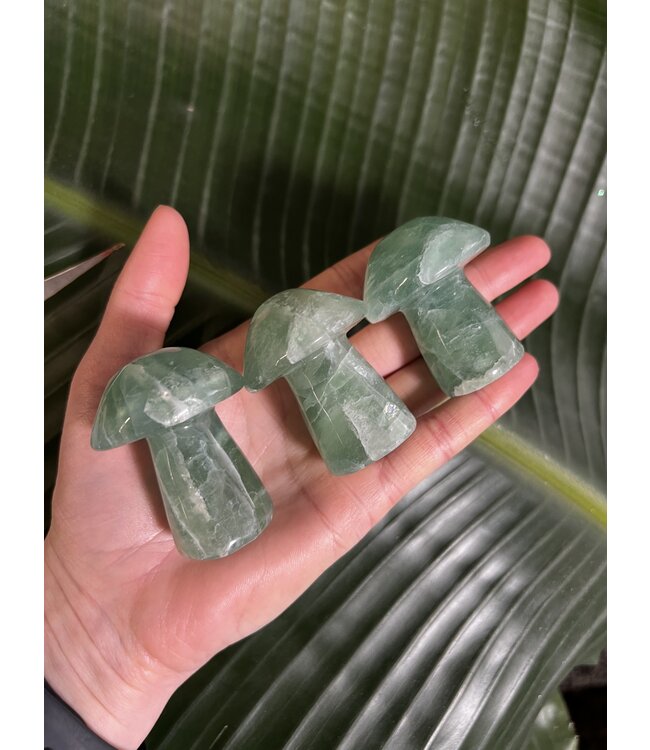 Green Fluorite Mushroom, Size Large [75-99gr]