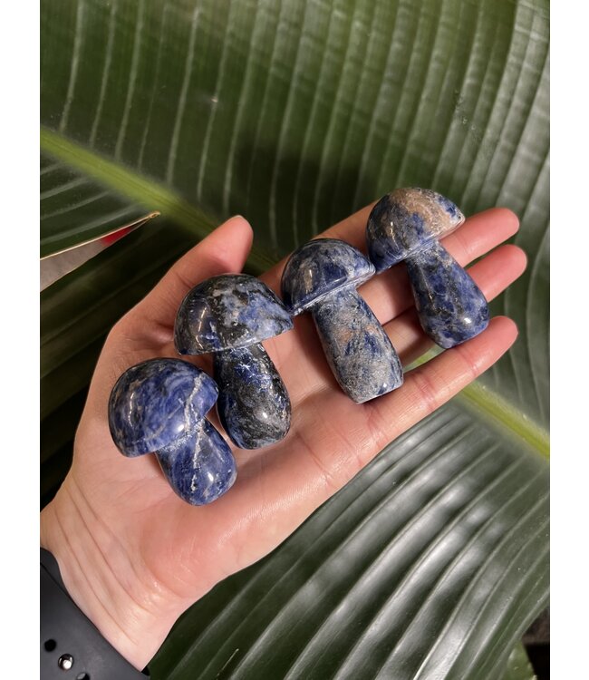 Sodalite Mushroom, Size Medium [50-74gr]