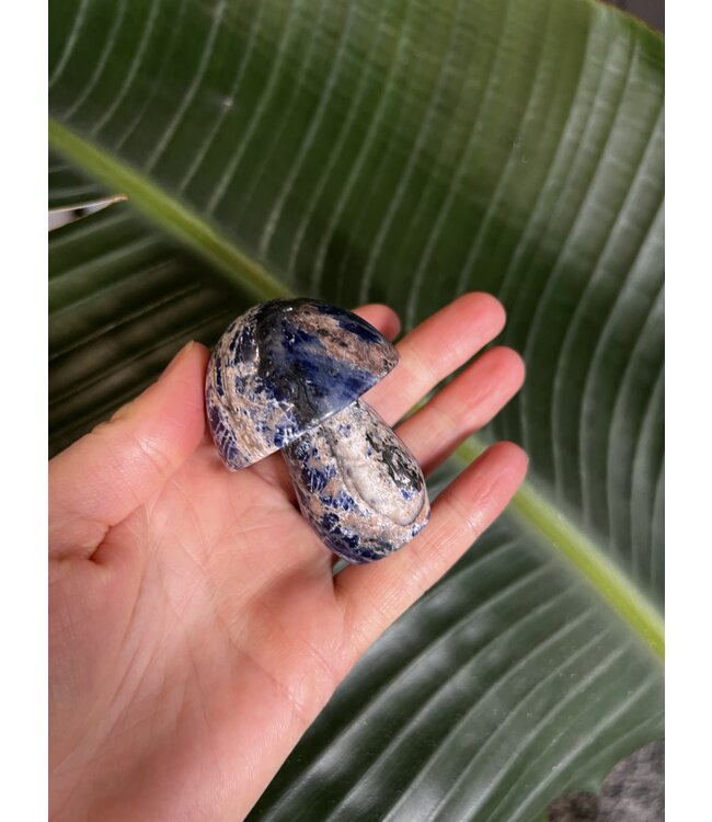 Sodalite Mushroom, Size XX-Large [125-149gr]