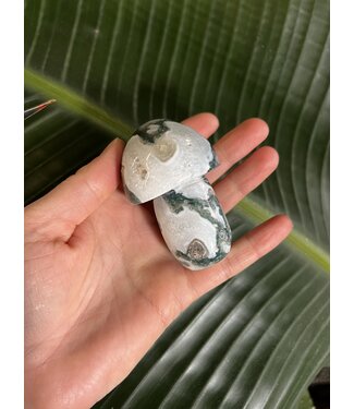 Moss Agate Mushroom, Size Jumbo [150-174gr]