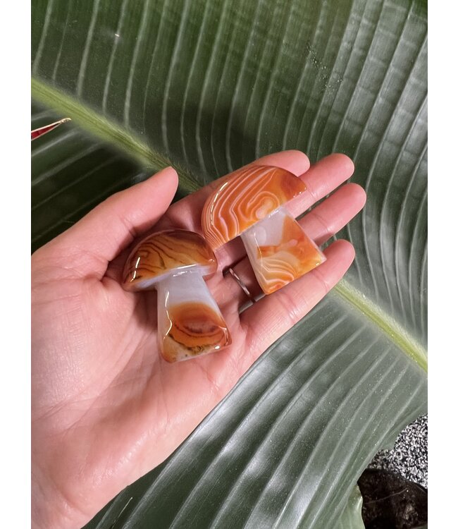 Natural Carnelian Mushroom, Size Small [25-49gr]