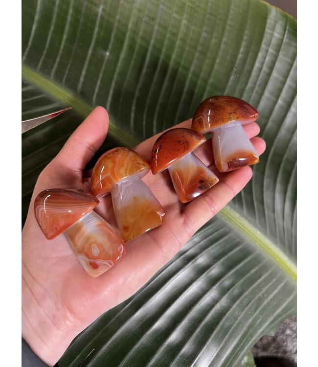 Natural Carnelian Mushroom, Size Medium [50-74gr]