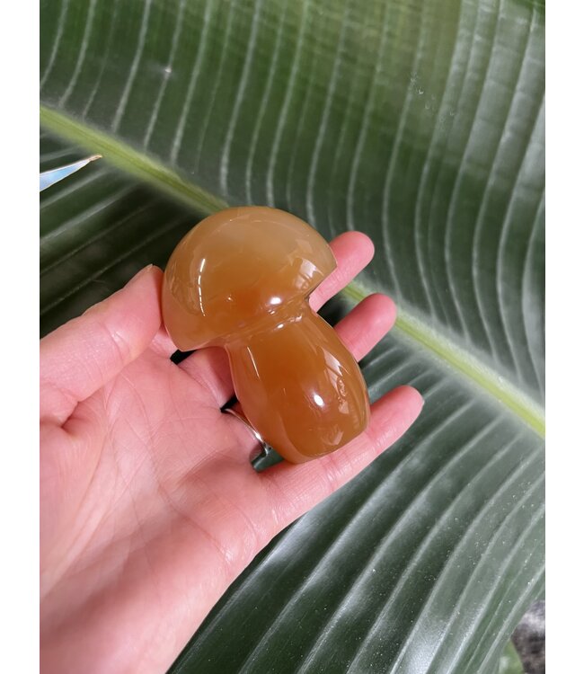 Carnelian Mushroom, Size Giant [200-224gr]