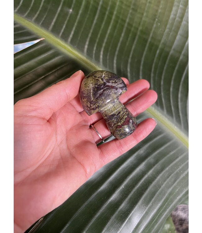 Dragon Bloodstone Mushroom, Size XX-Large [125-149gr]